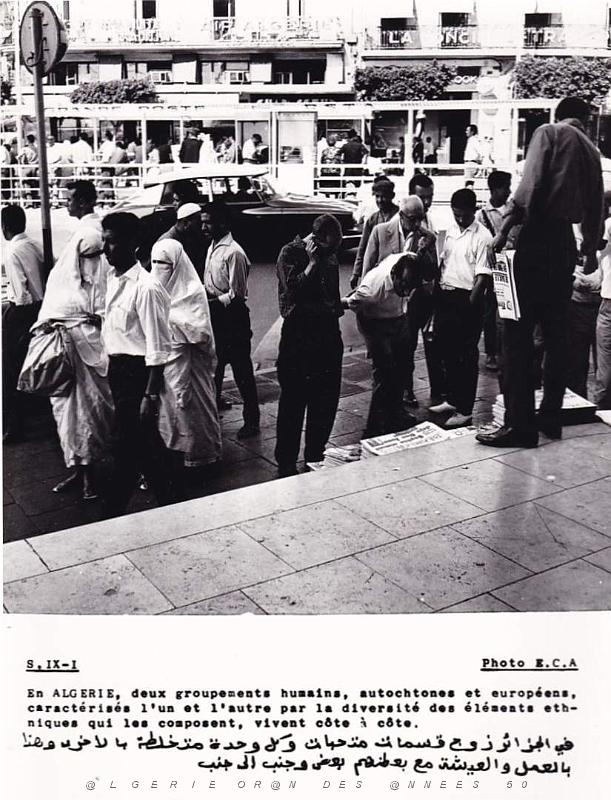 Algerie propagande 065.jpg